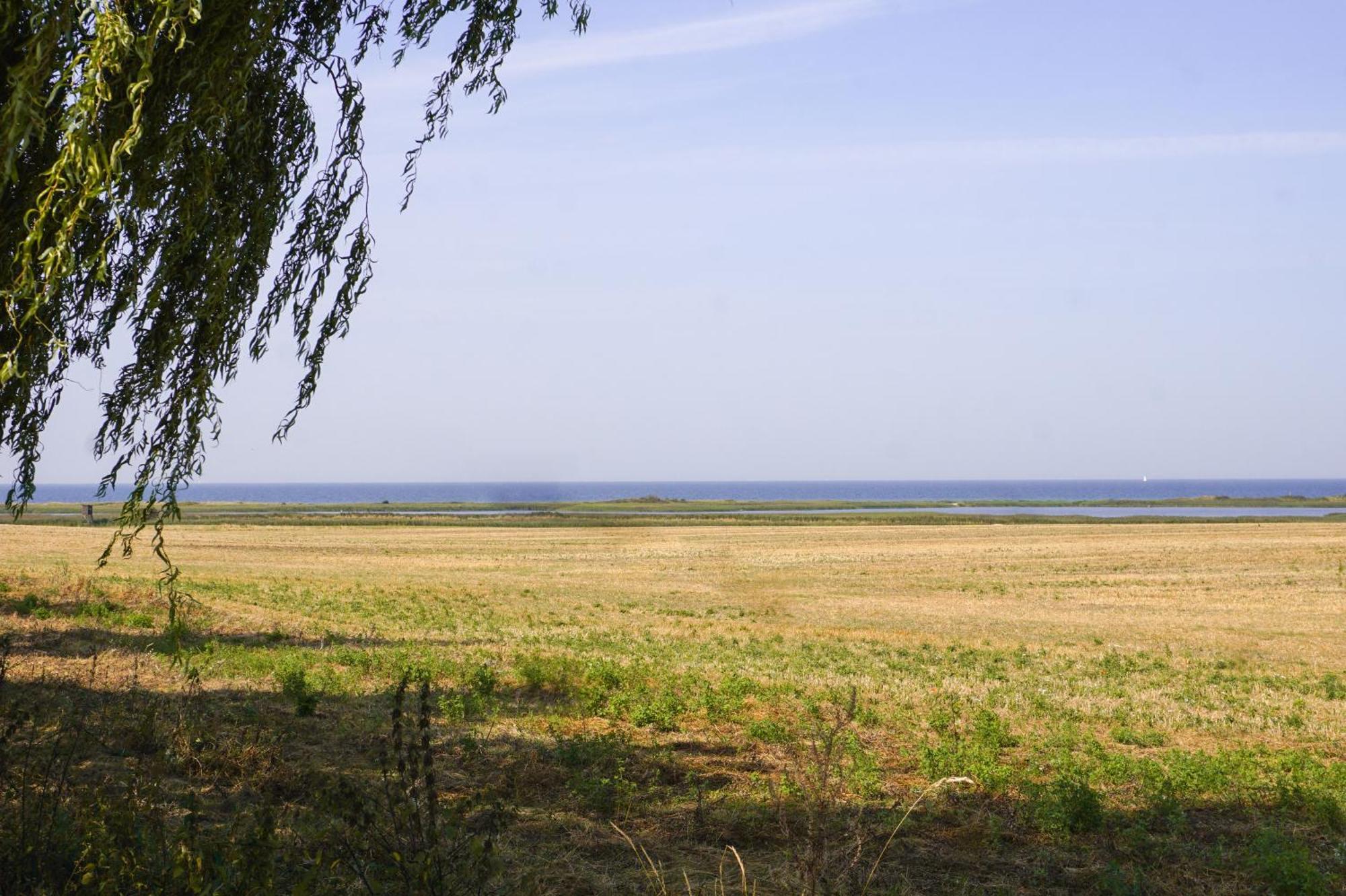 Duenenmeer Ferienwohnung Ostseebad Kühlungsborn Exteriér fotografie